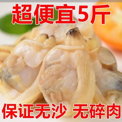 花甲肉新鲜冷冻蛤蜊肉大花甲鲜活花蛤黄蚬子肉海鲜水产非干活即食