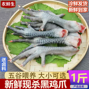 黑鸡爪 新鲜现杀土鸡脚500g带骨黑鸡爪盐帮菜鲜凤爪商用 生鲜鸡腿