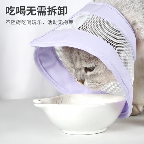 夏季透气防水防舔猫狗伊丽莎白圈
