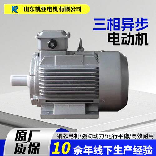 YE3YE4YLYZYBX3YBX4YVPYCTYEJYVF2多种型号加工电动机