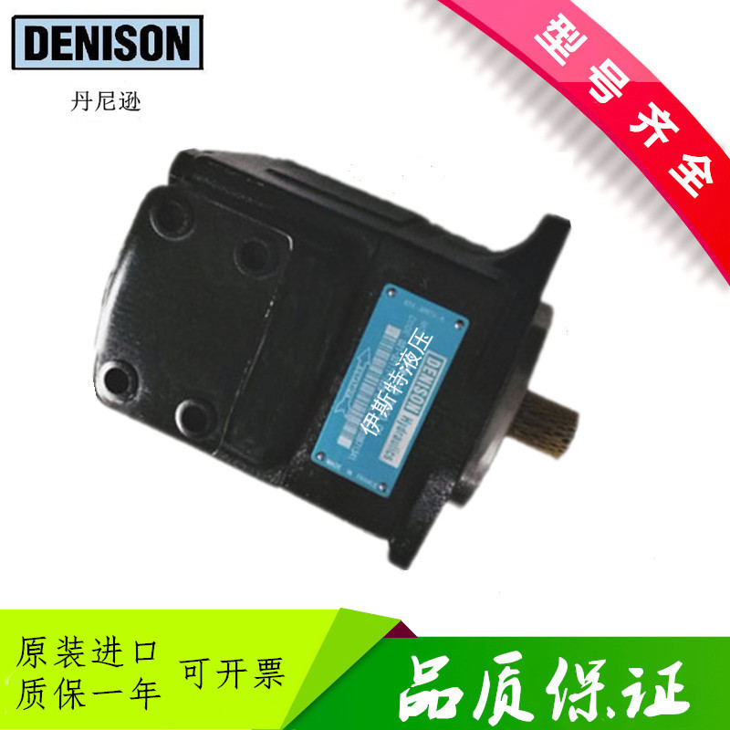法国DENISON丹尼逊液压油泵T6DM B24 3R02 C1M0叶片泵T6DM