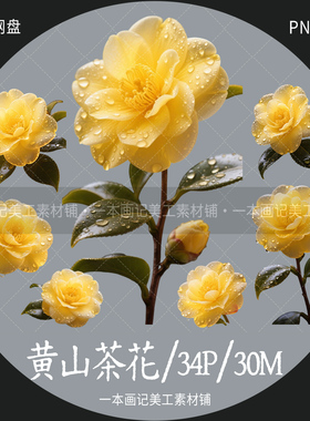 美工文游线上可商 免抠png素材 黄色山茶花 透明免扣 饭圈ps设计