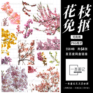 可商用免抠png素材 真实实景花枝花丛樱花花卉 饭圈美工ps文游