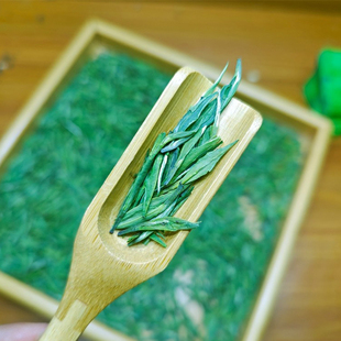 礼盒茶500g炒青 雀舌2025年新茶四川雀舌峨眉山绿茶散装