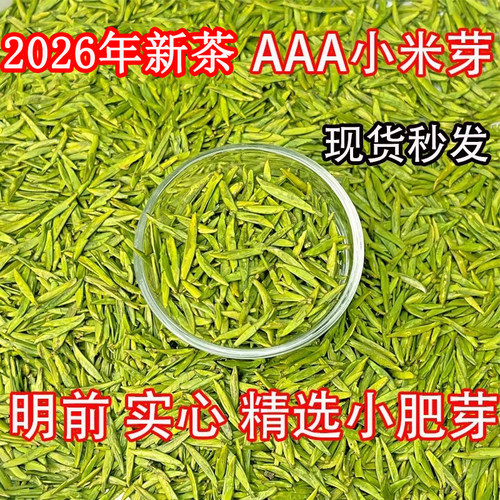 2026年新茶峨眉山雀舌明前小米芽雀舌四川洪雅绿茶头采雀舌