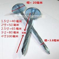 图钉石棉瓦寸2水泥彩钢瓦不锈钢大头钉加长墙瓦楞钉木用钉子固定3