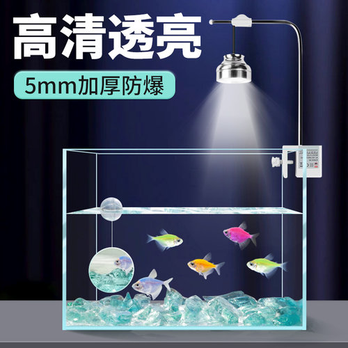 2026新款超清鱼缸客厅小型生态玻璃缸造景桌面缸办公室工位小鱼缸