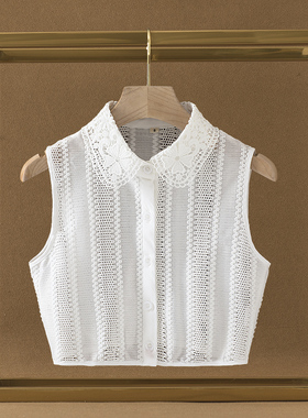 新款韩版假领子女百搭假领水溶蕾丝衬衫领毛衣装饰假衣领白色秋冬