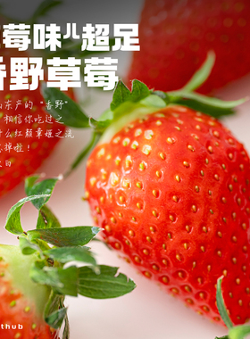 草莓味儿超足！山东临沂香野草莓新鲜水果现摘现发3斤