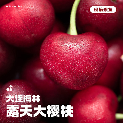 大连樱桃 现摘现发｜海林俄八俄8车厘子当季新鲜水果顺丰包邮5斤