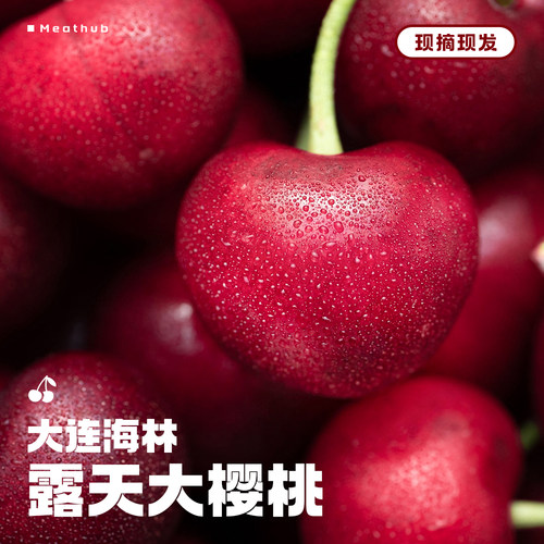 新鲜水果｜大连大樱桃｜现摘现发