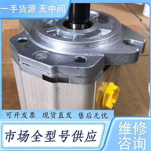 请询价--丹佛斯齿轮泵SNP2NN/017RN06GA 仅装机未使用