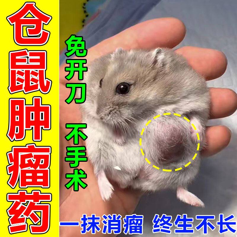 仓鼠肿瘤药快速消除脂肪瘤囊肿宠物金丝熊皮肤硬块疙瘩湿尾专用药