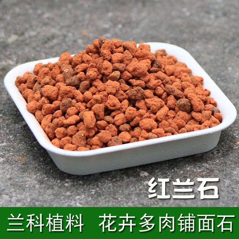 红兰石植金石兰花土专用红土颗粒多肉花卉盆景铺面火山石头火烧土