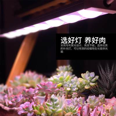 科瑞LED植物生长灯全光谱多肉补光灯上色室内雨林缸盆栽微景观灯
