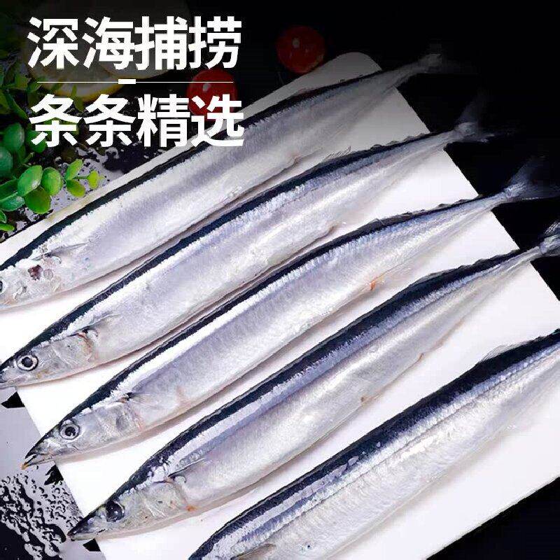 深海秋刀鱼新鲜海捕特大料理烧烤