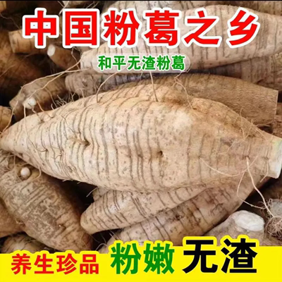 产地直销广西和平新鲜葛根现挖现发正宗无渣粉葛煲汤解酒粉糯