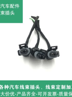 中华骏捷FRV雾灯 防雾灯 前杠灯FRV/FSV/CROSS/H320/V5雾灯插头