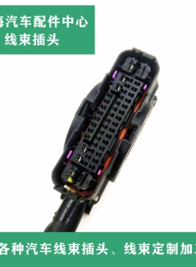 博世新款本田ABS泵插头1928405782防水接插件46孔46P46针别克哈弗