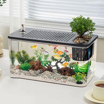 Plastic Reptile Terrarium Tank Reptile Feeding Box Transpare