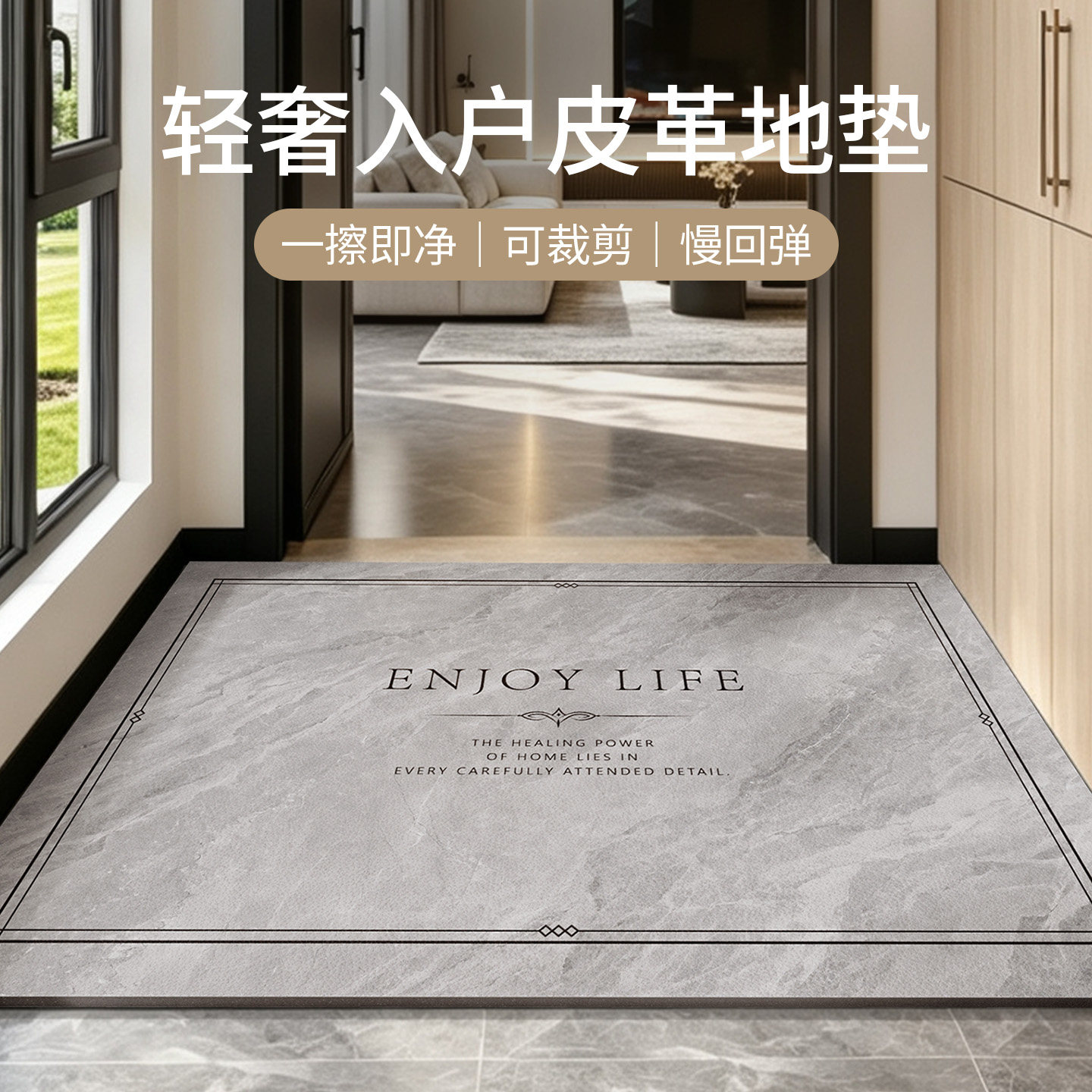高品质蹭土室内玄关入户门地垫图片