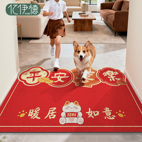 入户门垫新年除尘丝圈家用地垫