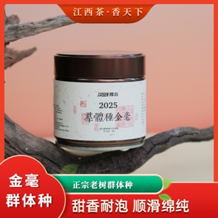 高山群体种修水宁红香甜耐泡风味独特2025新茶老树荔枝香高端金毫