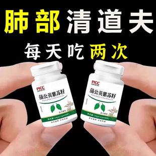 肺大泡肺气肿清肺散结丸胸闷咳嗽蒲公英紫苏籽片