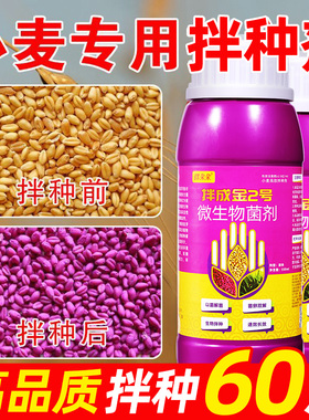 小麦专用拌种剂种衣剂种子包衣剂麦种麦黄金小麦高产叶面肥肥料