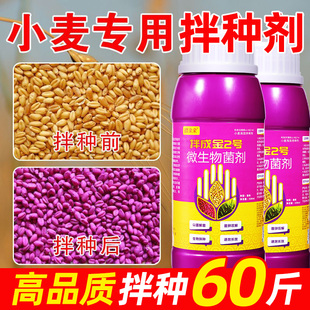 小麦专用拌种剂种衣剂种子包衣剂麦种麦黄金小麦高产叶面肥肥料