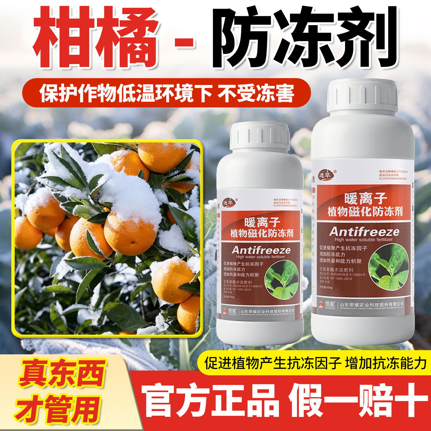 柑橘防冻剂植物防冻剂防寒抗冻液防冻液果树抗寒抗冻剂增加抗逆药
