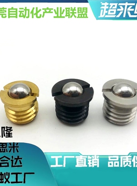 不锈钢球头柱塞  BSJT3/4/5/6/8 定位珠