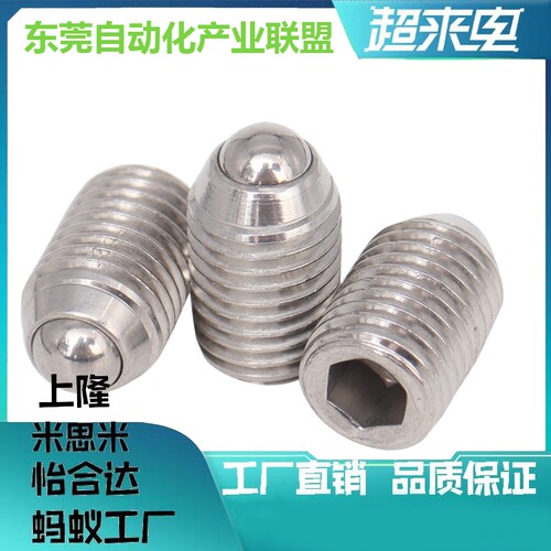 BSML/BSZL3/4/5/6/8/10/12/16不锈钢加长型球头柱塞