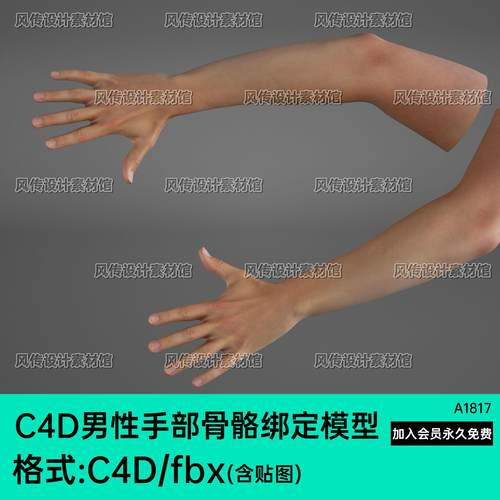 骨骼绑定C4D男性手部3D模型真实人物手臂fbx骨骼建模三维手模素材