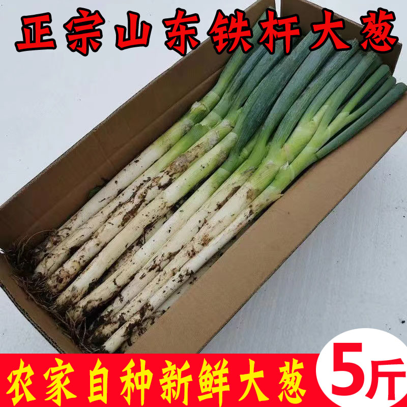 正宗山东大葱铁杆新鲜蘸酱5斤10斤特级甜葱非章丘批发东北特产使用感如何?