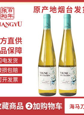 张裕先锋西班牙原瓶进口舞魅干白葡萄酒双支750ml聚会送礼餐酒