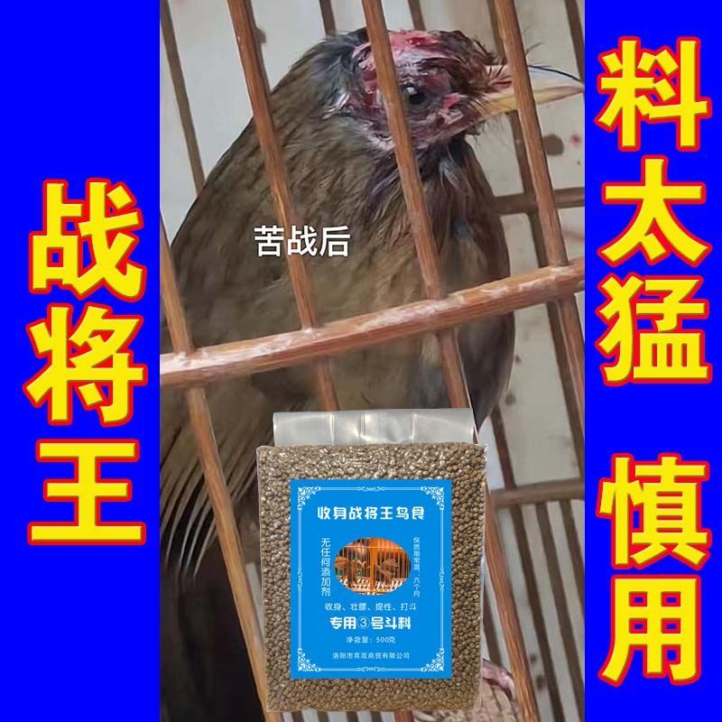 画眉食饲料猛战鸟食斗专