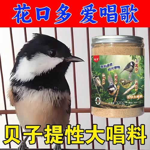 贝子鸟食【提性大唱】手
