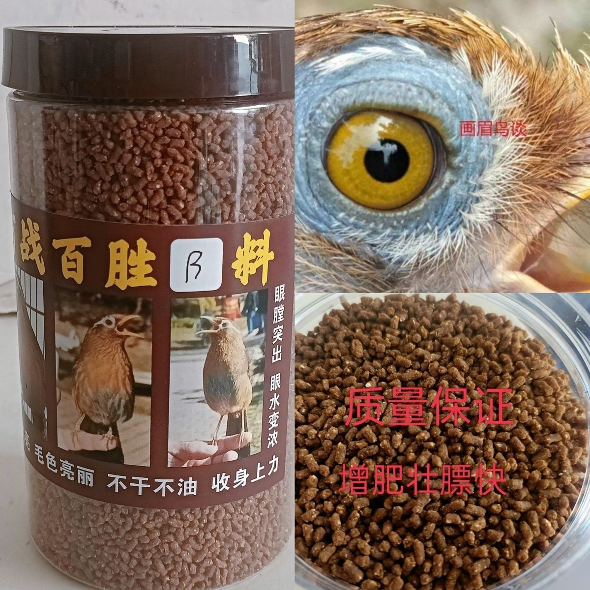 画眉鸟食饲料唱提性增肥