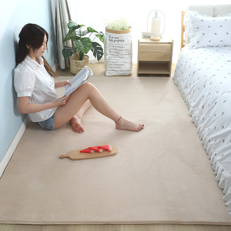 短毛地毯卧室床边毯少女ins风房间满铺服装店直播间装饰拍照地垫