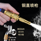 水龙头万用接头园林浇菜喷头浇花洗车喷枪铜软管接口洗衣机水管