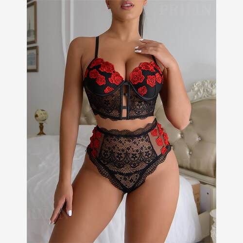 EroticLingeSexyaplHw