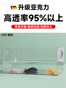 德国六角恐龙专用缸蝾螈饲养缸长方形生态亚克力鱼缸客厅小型家用