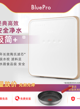 Bluepro博乐宝厨房无桶陶氏反渗透大通量家用饮用净水器自来水C03