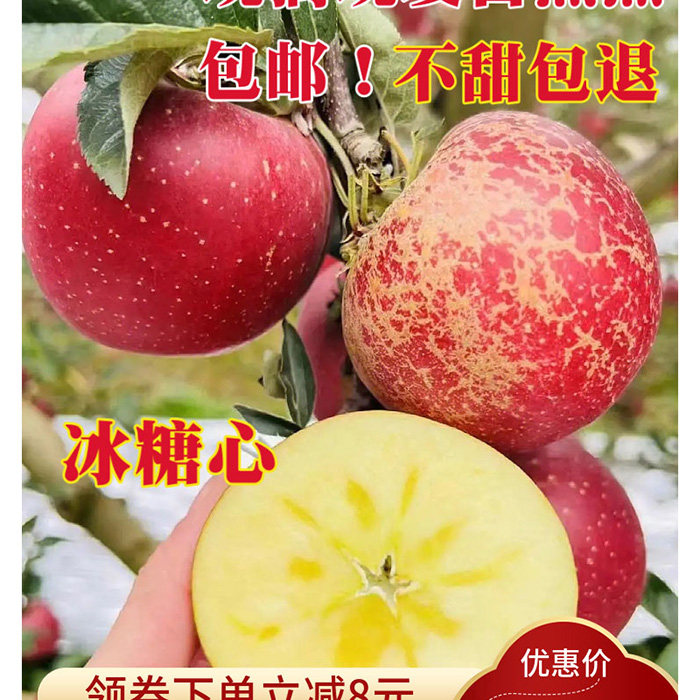 冰糖心昭通红露包邮昭通红露苹果