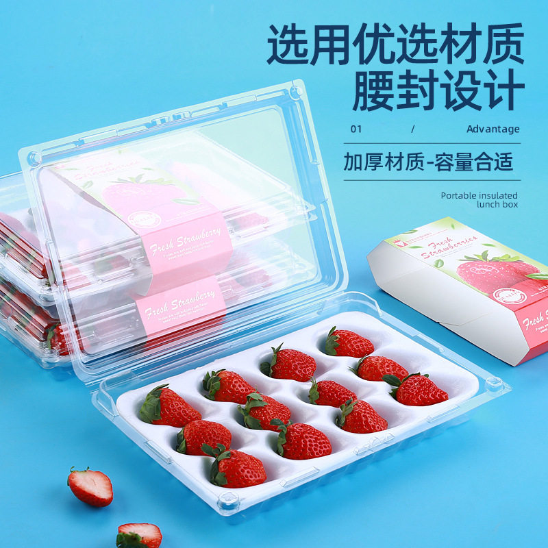 一次性透明带内托防震草