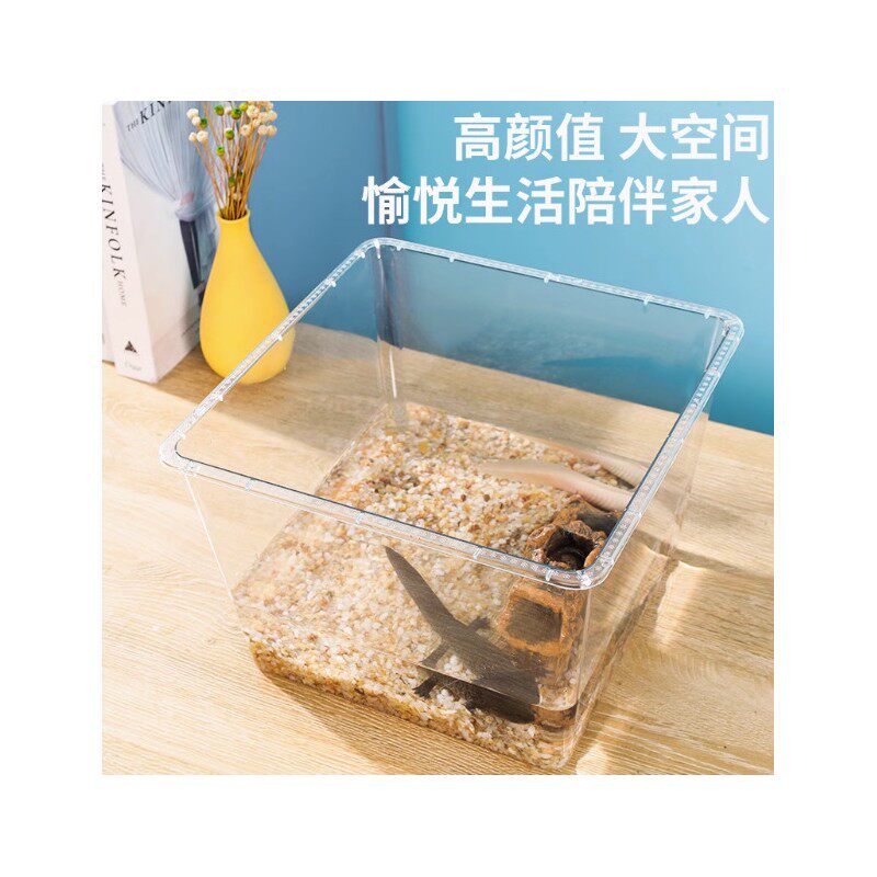 包邮六角恐龙专用缸蝾螈