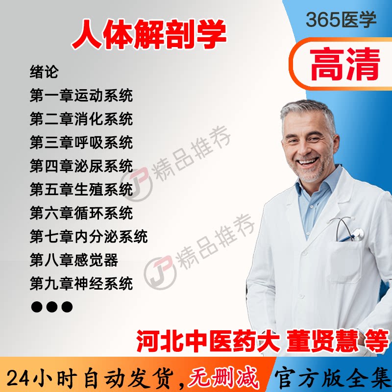 董贤慧 人体解剖学视频教程全集医学课程基础入门精通
