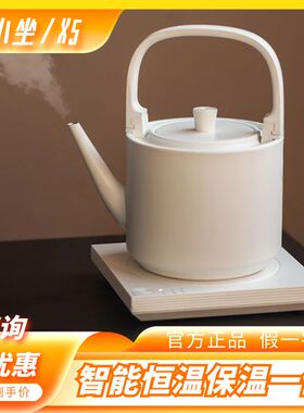 小坐X5电热水壶家用可调温烧水壶保温一体小型自动恒温泡茶专用壶