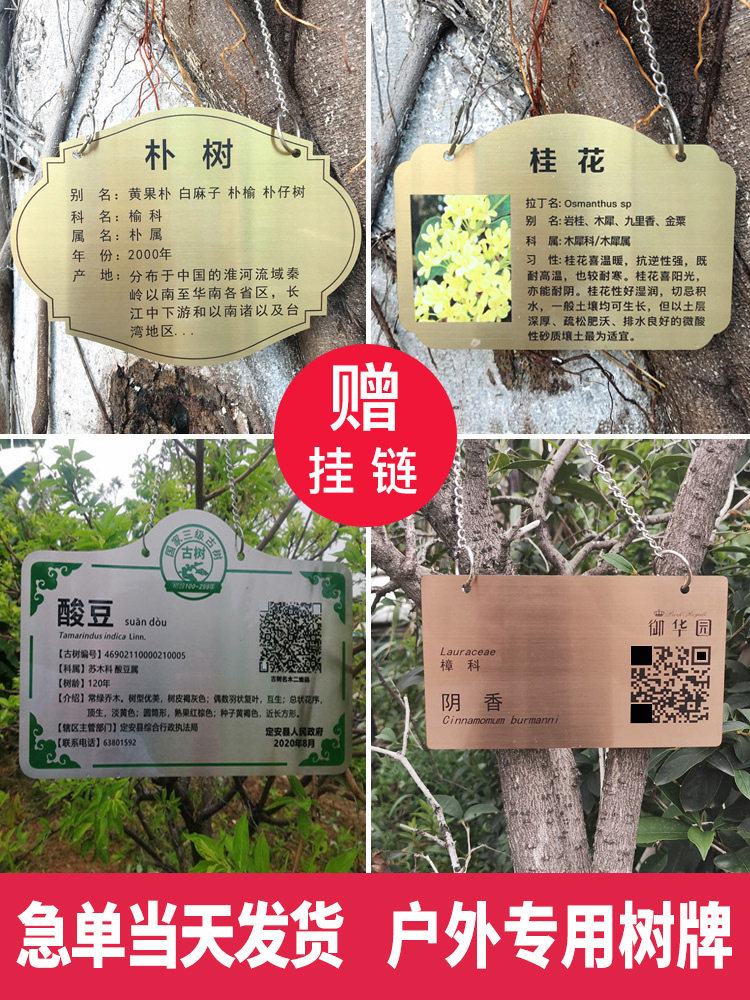 不锈钢园林树牌悬挂二维码植物牌户外花草绿化信息提示金属牌